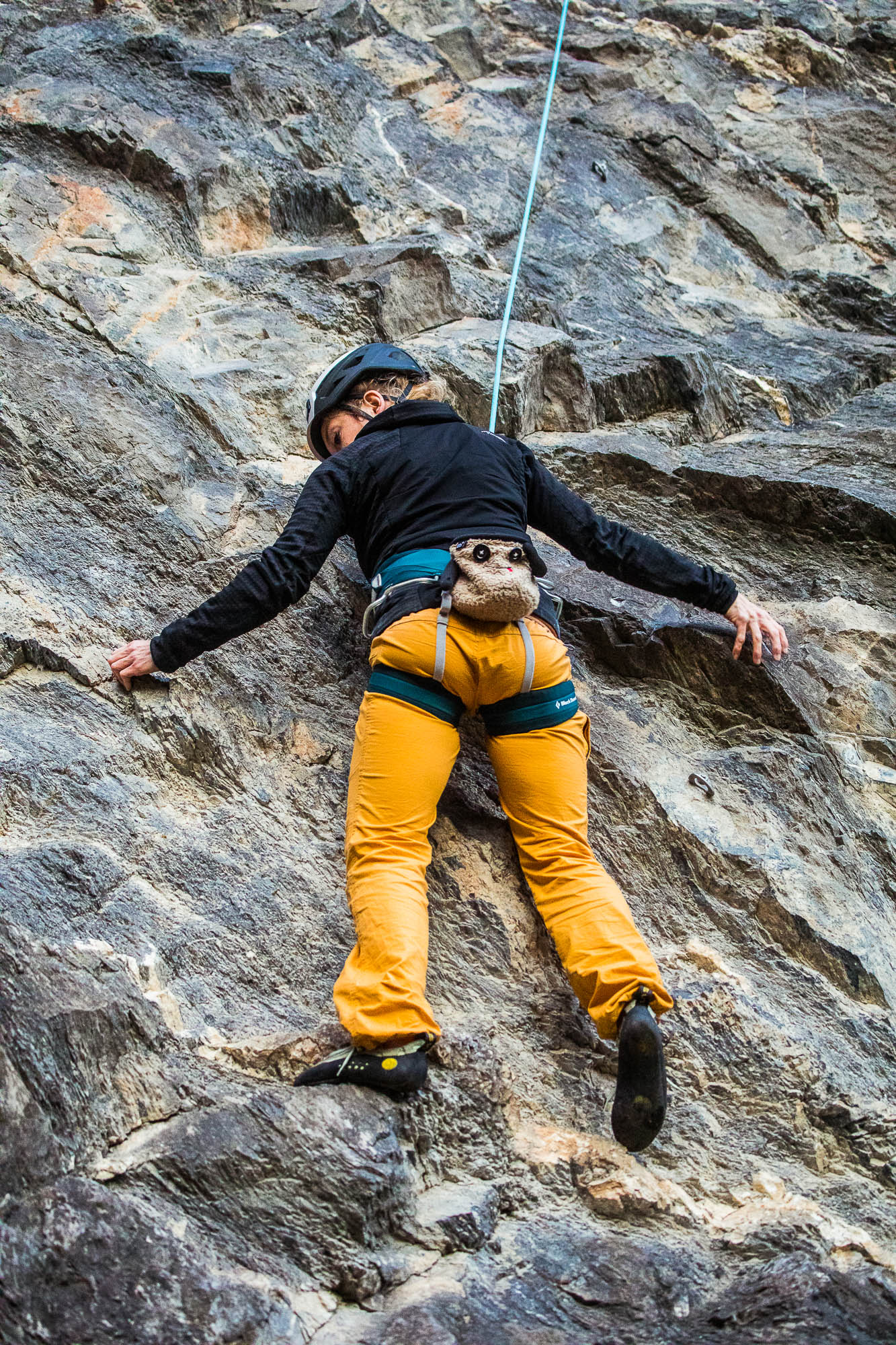 Export x3 5D4 9452 Climbing