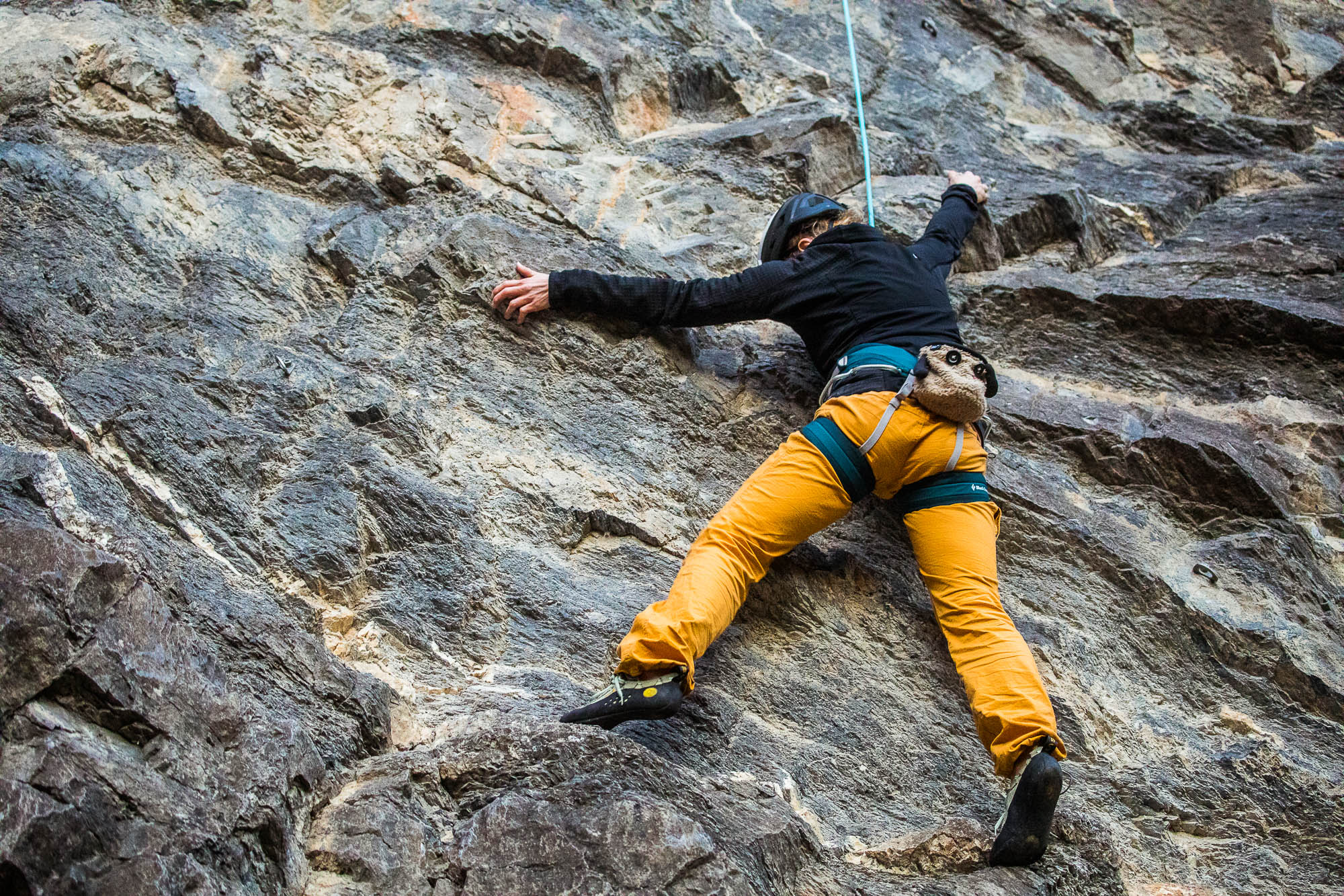 Export x3 5D4 9456 Climbing