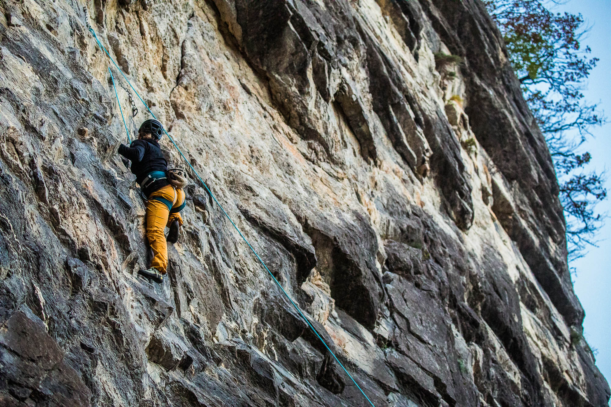 Export x3 5D4 9485 Climbing